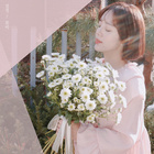 꿈속의정원 이미지