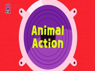 Animal Action