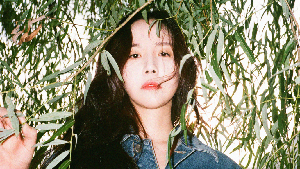 프롬지니 이미지