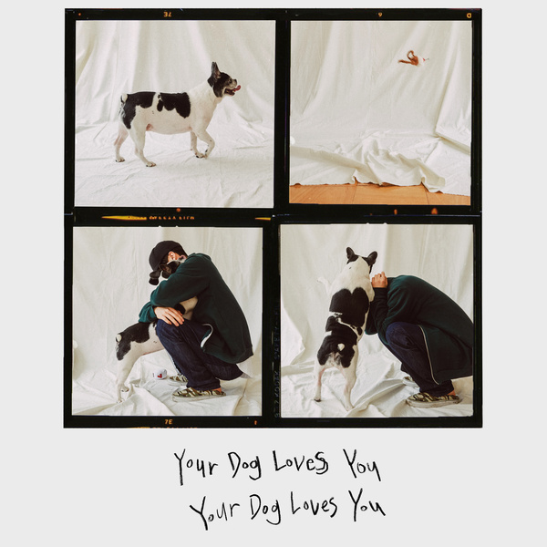 Your dog loves you — 콜드