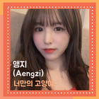너만의 고양이